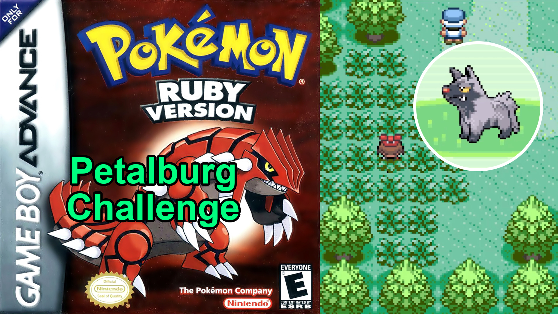 Pokemon Ruby Petalburg Challenge